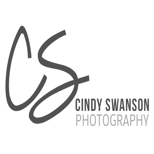 Holiday Hosting Essentials - Cindy Swanson