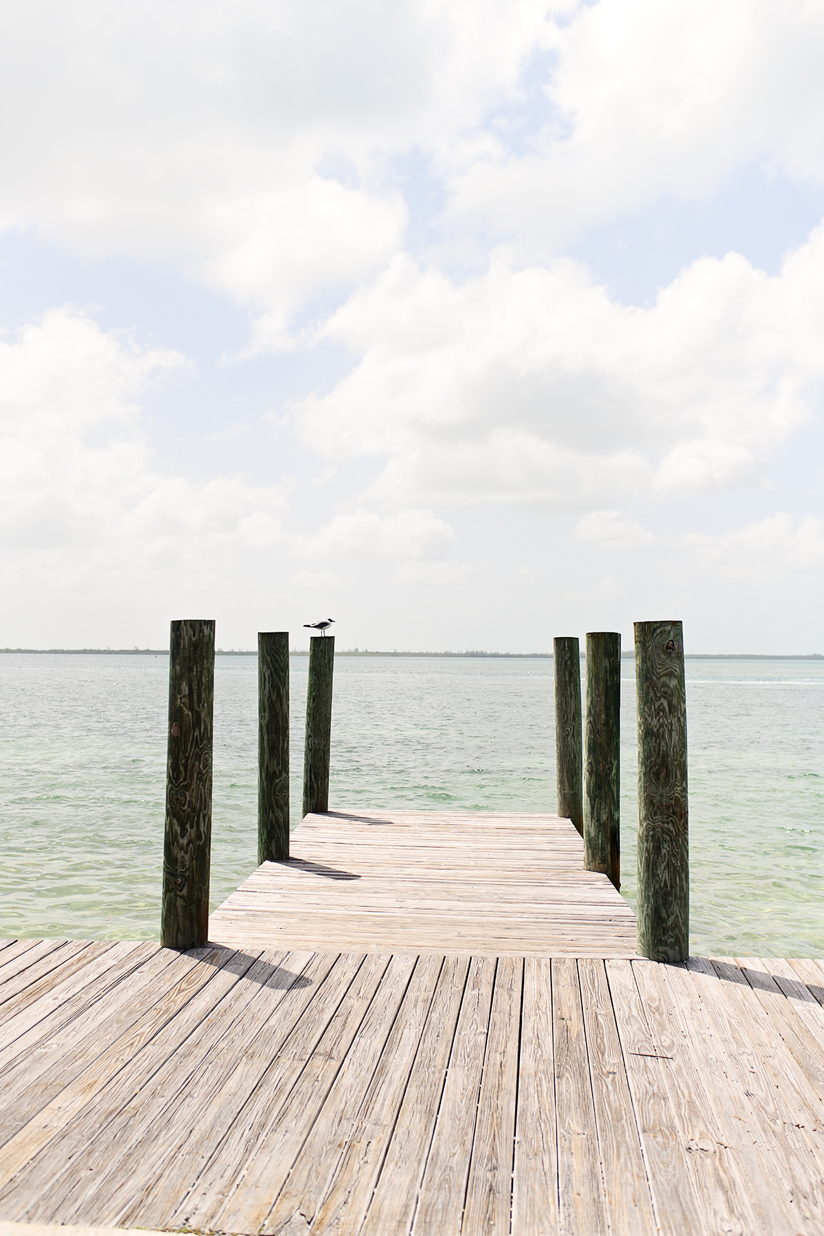 A Guide to Harbour Island, Bahamas Cindy Swanson Photography • Award